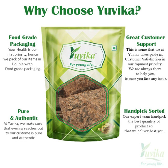 YUVIKA Maida Lakdi - Litsea Glutinosa - Maida Wood (100 Grams)