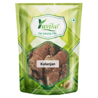YUVIKA Kulanjan - Kulinjan - Paan Jadd - Alpinia Galanga Wild - Siamese Ginger - Thai Ginger (100 Grams)