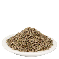 YUVIKA Apamarg Seeds - Apoot Kanta - Uttareni Seeds - Latrija Beej - Chirchita ka Beej (400 Grams)