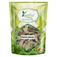 YUVIKA Rasna Leaves - Ray Sanay - Rai Senna - Pluchea lanceolata 100 Grams