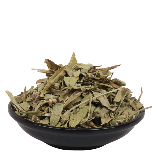 YUVIKA Rasna Leaves - Ray Sanay - Rai Senna - Pluchea lanceolata 100 Grams
