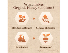 Dabur Organic Honey – 300g | 100% Pure and Natural | NPOP Organic Certified | Raw , Unprocessed , Unpasteurized Honey | No Sugar Adulteration
