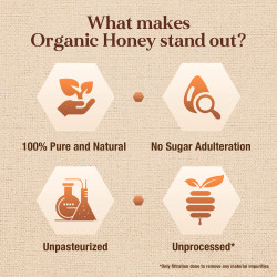 Dabur Organic Honey - 300g | 100% Pure and Natural | NPOP Certified