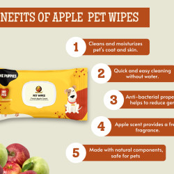 Foodie Puppies Anti-Bacterial 200 Pulls Pet Wet Wipes (Fresh Apple) - 100 Wipes (Pack of 2) | Grooming Wipes for Dogs, Puppies, Cats, Rabbits & Small Animals | SLS Free, Paraben Free & Cruelty Free