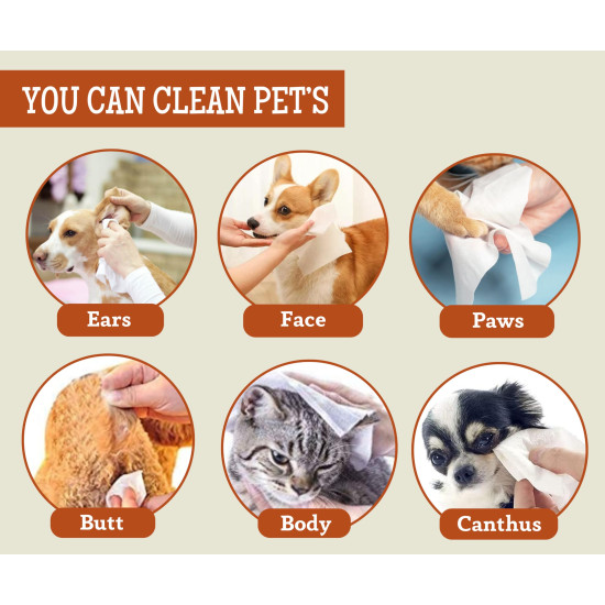 Foodie Puppies Anti-Bacterial 200 Pulls Pet Wet Wipes (Fresh Apple) - 100 Wipes (Pack of 2) | Grooming Wipes for Dogs, Puppies, Cats, Rabbits & Small Animals | SLS Free, Paraben Free & Cruelty Free