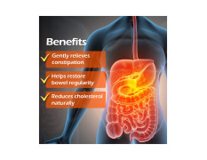 Fybogel - Bottle of 100g Hi-Fibre Orange Isabgol Husk