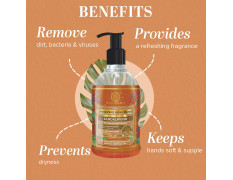 Khadi Natural Sandalwood Hand Wash | Ayurvedic Handwash for Clean Hands | Naturally Moisturizing Hand Wash | For Soft & Germ Free Hand | Suitable for All Skin Types| Pack of 2(210ml*2) (420ml)