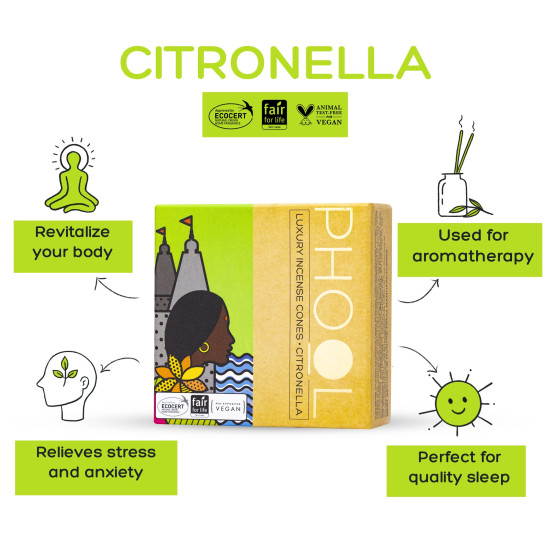 Phool - Mosquito Repellent dhoop| Pack of 2 (80 Organic Dhoop Cones | 2 Fragrances- Citronella & Eucalyptus)+1 Free Ceramic Holder |Handrolled |Sulphur & Charcoal Free | 100% Organic (500 GMS)