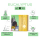 Phool - Mosquito Repellent dhoop| Pack of 2 (80 Organic Dhoop Cones | 2 Fragrances- Citronella & Eucalyptus)+1 Free Ceramic Holder |Handrolled |Sulphur & Charcoal Free | 100% Organic (500 GMS)