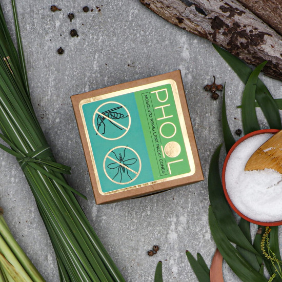 Phool - Mosquito Repellent dhoop| Pack of 2 (80 Organic Dhoop Cones | 2 Fragrances- Citronella & Eucalyptus)+1 Free Ceramic Holder |Handrolled |Sulphur & Charcoal Free | 100% Organic (500 GMS)