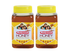 Baidyanath Honey I Natural Immunity Booster I Pure Honey I 500 gms - Pack of 2