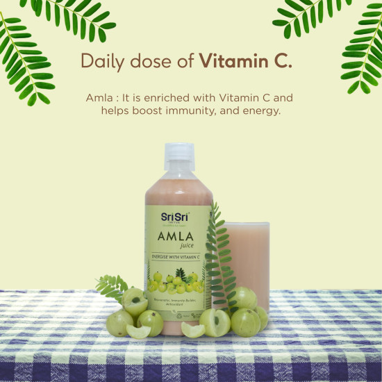 Sri Sri TATTVA shuddhta ka naam Amla Juice, 1Litre (Pack Of 3)