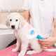 Depets Self Cleaning Slicker Brush, Pet Grooming Shedding Brush for Dogs and Cats - Easy to Remove Loose Undercoat, Pet Massaging Tool Suitable for Pets with Long or Short Hair Color May Vary Depets Self Cleaning Slicker Brush, Pet Grooming Shedding Brush for Dogs and Cats - Easy to Remove Loose Undercoat, Pet Massaging Tool Suitable for Pets with Long or Short Hair Color May Vary