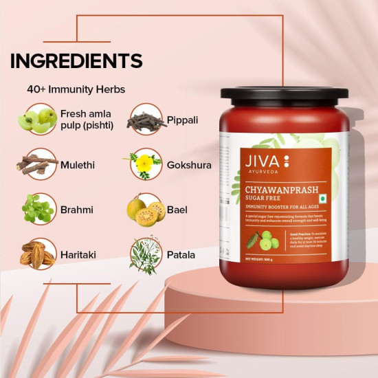 Jiva Sugar Free Chyawanprash | 500gm (Pack of 1) | 100% Pure & Natural | Rich in Vitamin-C No Added Sugar | Natural Rejuvenate & Immunity Booster