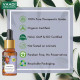 VAADI HERBALS Lavender Essential Oil - Prevents Hairfall, Relieves Stress, Soothes Skin - 100% Pure Therapeutic Grade, 10 ml