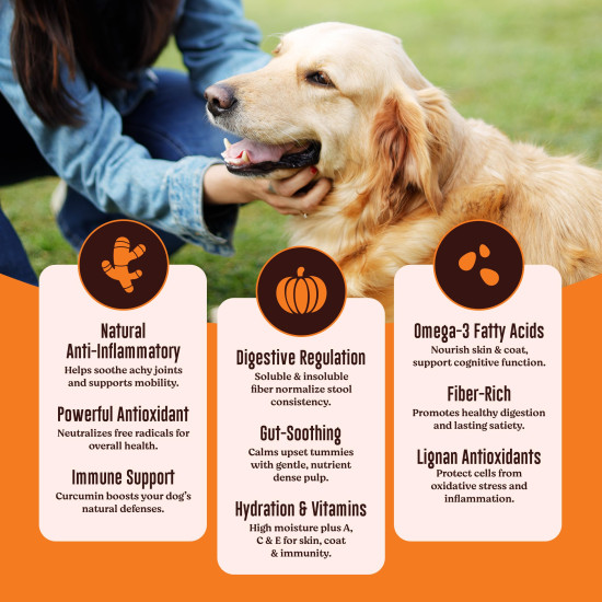 Kennel Kitchen Soft Baked Lamb with Pumpkin Sticks Treats for Dogs, 100g (Pack of 1) | Soft Dog Chew Sticks | Dog Treats for Adult Dogs and Puppies