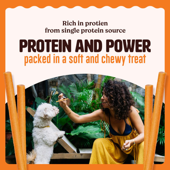 Kennel Kitchen Soft Baked Lamb with Pumpkin Sticks Treats for Dogs, 100g (Pack of 1) | Soft Dog Chew Sticks | Dog Treats for Adult Dogs and Puppies