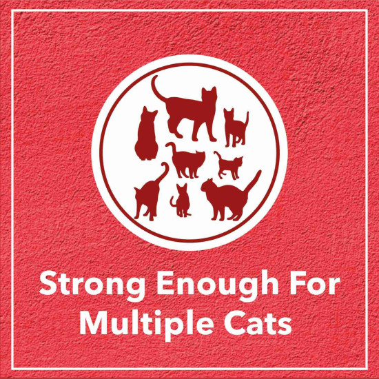 Drools Cat Litter for Multiple Breeds 5kg | Lavender | Pet & People Friendly | Long Lasting | Super Absorbent