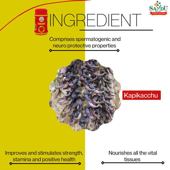 Sandu Vanari Kalpa� | Ayurvedic Herbal Medicine for Men Health | Improve Strength | (200 g)