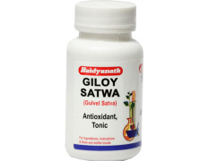 Baidyanath Giloy Satwa Pack of 1-40 gm