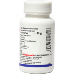 Baidyanath Giloy Satwa Pack of 1-40 gm