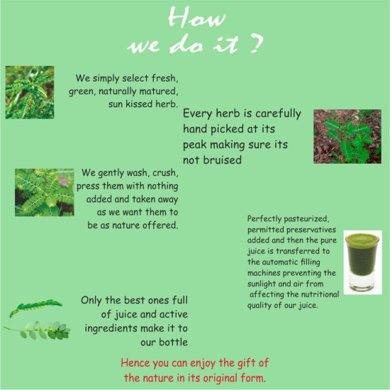 Axiom Bhoomi Amla Juice | Helpful in Liver Problems | Natural Liver Tonic | Useful in digestive System |Bhumi Amla Juice| Immunity Booster - 500ml (Pack of 2) Axiom Bhoomi Amla Juice | Helpful in Liver Problems | Natural Liver Tonic | Useful in digestive System |Bhumi Amla Juice| Immunity Booster - 500ml (Pack of 2)