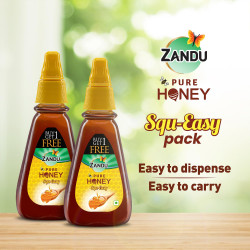 Zandu Pure Honey Squ-Easy (Buy 1 Get 1 Free) - Unique Blend of Sunderban Honey & Tulsi