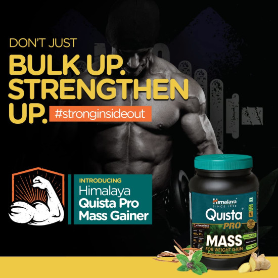 Himalaya Quista Pro MASS For Weight Gain - 1kg (Chocolate)