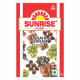 Sunrise Pure, Shahi Garam Masala Powder - 50 grams (Pouch)