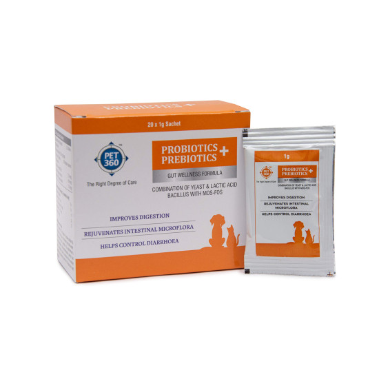 PET360 PROBIOTICS + PREBIOTICS Gut Wellness Formula for Dogs & Cats | Probiotic Supplement | Prevents Diarrhea & Indigestion | Cat & Dog Gut Health Supplement for Improved Immunity - 20 Sachets