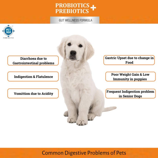 PET360 PROBIOTICS + PREBIOTICS Gut Wellness Formula for Dogs & Cats | Probiotic Supplement | Prevents Diarrhea & Indigestion | Cat & Dog Gut Health Supplement for Improved Immunity - 20 Sachets