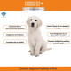 PET360 PROBIOTICS + PREBIOTICS Gut Wellness Formula for Dogs & Cats | Probiotic Supplement | Prevents Diarrhea & Indigestion | Cat & Dog Gut Health Supplement for Improved Immunity - 20 Sachets