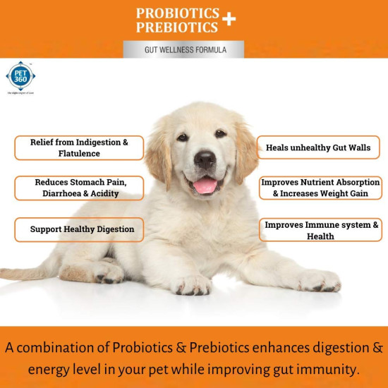 PET360 PROBIOTICS + PREBIOTICS Gut Wellness Formula for Dogs & Cats | Probiotic Supplement | Prevents Diarrhea & Indigestion | Cat & Dog Gut Health Supplement for Improved Immunity - 20 Sachets