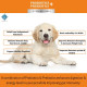 PET360 PROBIOTICS + PREBIOTICS Gut Wellness Formula for Dogs & Cats | Probiotic Supplement | Prevents Diarrhea & Indigestion | Cat & Dog Gut Health Supplement for Improved Immunity - 20 Sachets