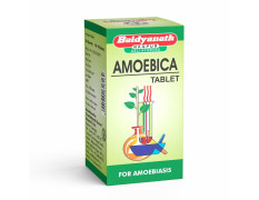 Baidyanath Amoebica I Ayurvedic Diarrhea Medicine I 740 g Pack of 1-100 Tab
