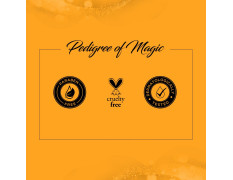 Colorbar Face the Sun Broad Spectrum Daily Face Protector, 50 ml | Enriched with Olive Leaf Extract and Vitamin E | 100% Vegan, Paraben Free and cruelty free