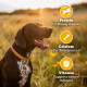 Pedigree Biscrok Biscuits (Above 4 Months) Dog Treats, Lamb Flavour, 500 g, Source of Calcium, Goodness of 15% Protein