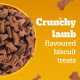 Pedigree Biscrok Biscuits (Above 4 Months) Dog Treats, Lamb Flavour, 500 g, Source of Calcium, Goodness of 15% Protein