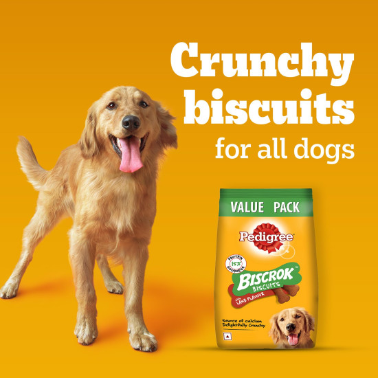 Pedigree Biscrok Biscuits (Above 4 Months) Dog Treats, Lamb Flavour, 500 g, Source of Calcium, Goodness of 15% Protein