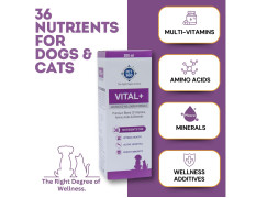 PET360 Vital+ Advanced Wellness Formula | Daily Multivitamin Syrup | Healthy Skin, Joints, Immunity & Growth | Nutritional Supplement for Dogs & Cats- 200 ml