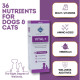 PET360 Vital+ Advanced Wellness Formula | Daily Multivitamin Syrup | Healthy Skin, Joints, Immunity & Growth | Nutritional Supplement for Dogs & Cats- 200 ml