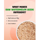 True Elements Watermelon Seeds 500g - High in Protein Seeds | Raw Watermelon Seeds for Eating | Magaj Seeds | Non - GMO | Raw seeds | Nutrients Rich | Source of Antioxidants