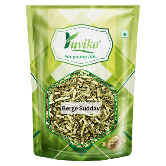 Yuvika Berge Suddav - Burge Suddab - Berge Sudab - Ruta Graveolens - Garden Rue 200 Grams