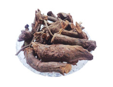 YUVIKA Chitrak Mool - Chitrak Jadd - Chita Jadd - Plumbago Indica - Plumbago zeylanica (200 Grams)