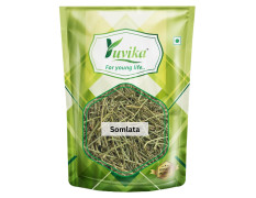 YUVIKA Somlata - Soma - Ephedra Vulgaris - Ephedra gerardiana (100 Grams)