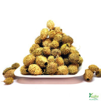 YUVIKA Bindal Doda - Devdali - luffa echinata (100 Grams)