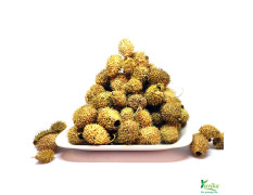 YUVIKA Bindal Doda - Devdali - luffa echinata (100 Grams)