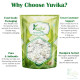 Yuvika Abir Powder - Abeer 200 Grams