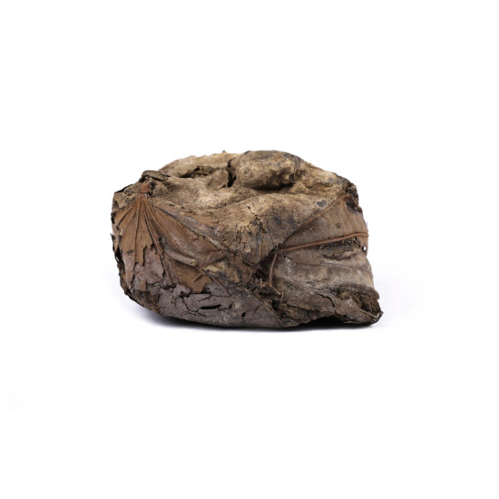 Yuvika Rasaut - Rasot - Berberis Aristata 100 Grams Yuvika Rasaut - Rasot - Berberis Aristata 100 Grams