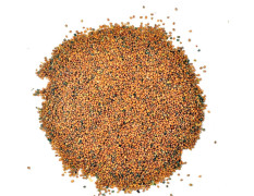 YUVIKA Taramira Seeds - Tarameera Seeds - Tara Mira Seeds - Brassica eruca (100 Grams)